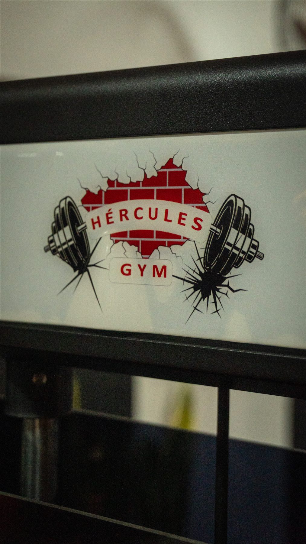 Hercules Gym 09